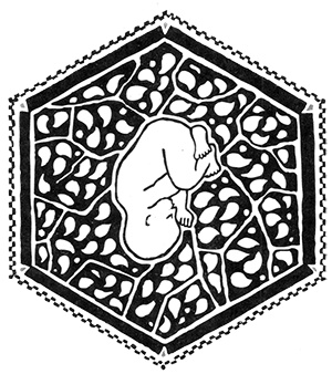 Иллюстрация к книге — Загадка жизни и грязные носки Йоса Гротьеса из Дрила [i_002.jpg]