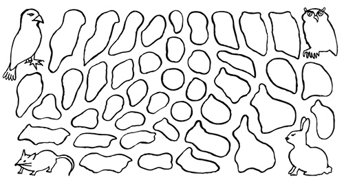 Иллюстрация к книге — Загадка жизни и грязные носки Йоса Гротьеса из Дрила [i_033.jpg]