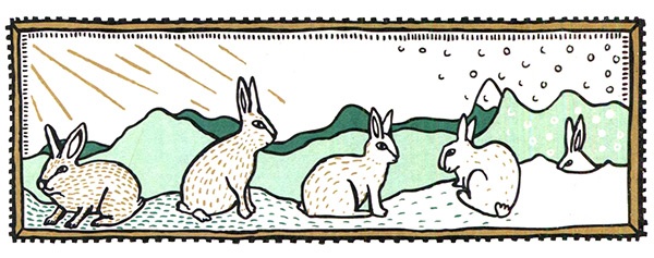 Иллюстрация к книге — Загадка жизни и грязные носки Йоса Гротьеса из Дрила [i_034.jpg]