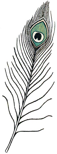 Иллюстрация к книге — Загадка жизни и грязные носки Йоса Гротьеса из Дрила [i_040.jpg]