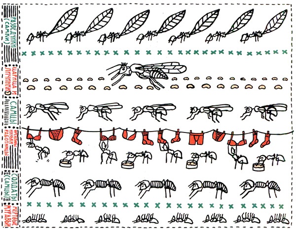 Иллюстрация к книге — Загадка жизни и грязные носки Йоса Гротьеса из Дрила [i_044.jpg]