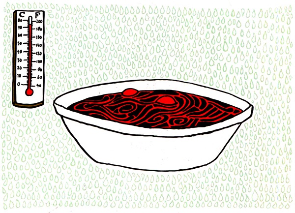 Иллюстрация к книге — Загадка жизни и грязные носки Йоса Гротьеса из Дрила [i_062.jpg]