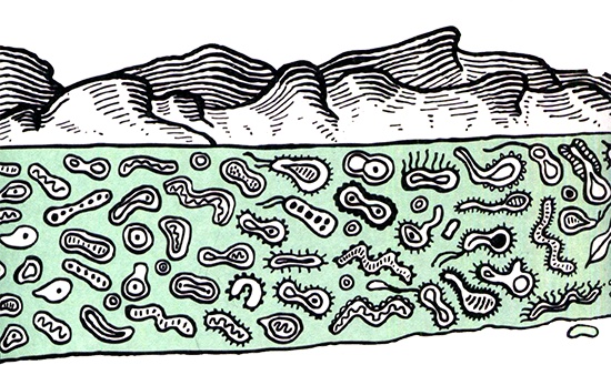 Иллюстрация к книге — Загадка жизни и грязные носки Йоса Гротьеса из Дрила [i_066.jpg]