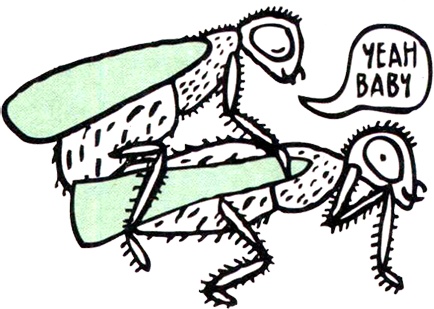 Иллюстрация к книге — Загадка жизни и грязные носки Йоса Гротьеса из Дрила [i_074.jpg]