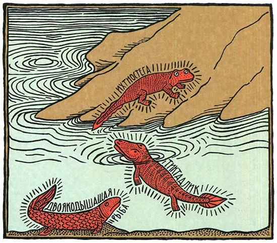 Иллюстрация к книге — Загадка жизни и грязные носки Йоса Гротьеса из Дрила [i_083.jpg]