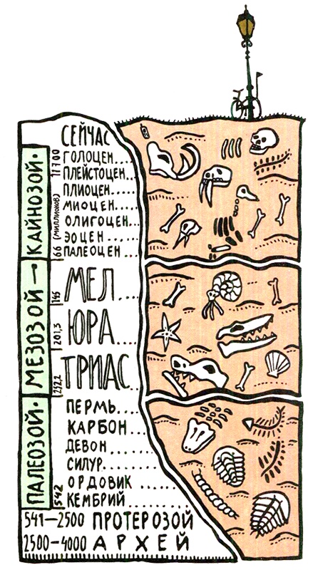 Иллюстрация к книге — Загадка жизни и грязные носки Йоса Гротьеса из Дрила [i_086.jpg]