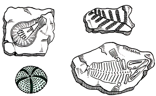Иллюстрация к книге — Загадка жизни и грязные носки Йоса Гротьеса из Дрила [i_089.jpg]