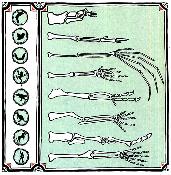 Иллюстрация к книге — Загадка жизни и грязные носки Йоса Гротьеса из Дрила [i_090.jpg]