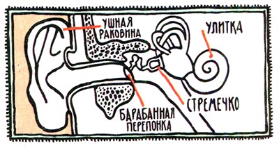 Иллюстрация к книге — Загадка жизни и грязные носки Йоса Гротьеса из Дрила [i_091.jpg]