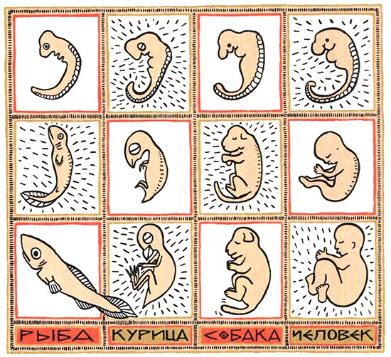 Иллюстрация к книге — Загадка жизни и грязные носки Йоса Гротьеса из Дрила [i_092.jpg]