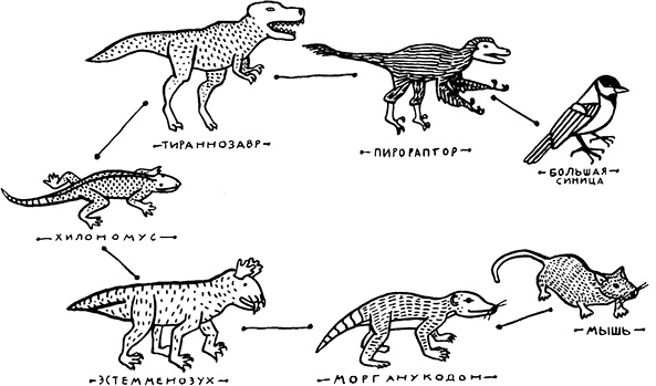 Иллюстрация к книге — Загадка жизни и грязные носки Йоса Гротьеса из Дрила [i_099.jpg]