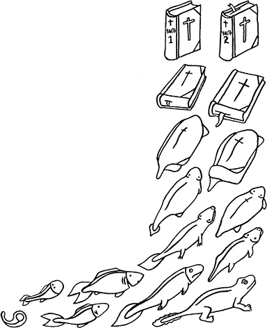 Иллюстрация к книге — Загадка жизни и грязные носки Йоса Гротьеса из Дрила [i_104.jpg]