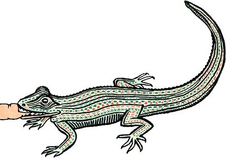 Иллюстрация к книге — Загадка жизни и грязные носки Йоса Гротьеса из Дрила [i_110.jpg]