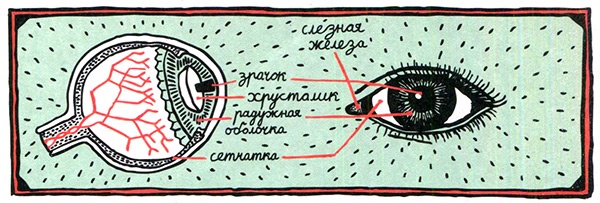 Иллюстрация к книге — Загадка жизни и грязные носки Йоса Гротьеса из Дрила [i_116.jpg]