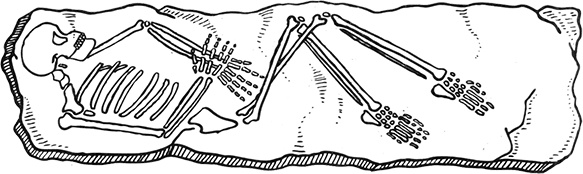 Иллюстрация к книге — Загадка жизни и грязные носки Йоса Гротьеса из Дрила [i_123.jpg]