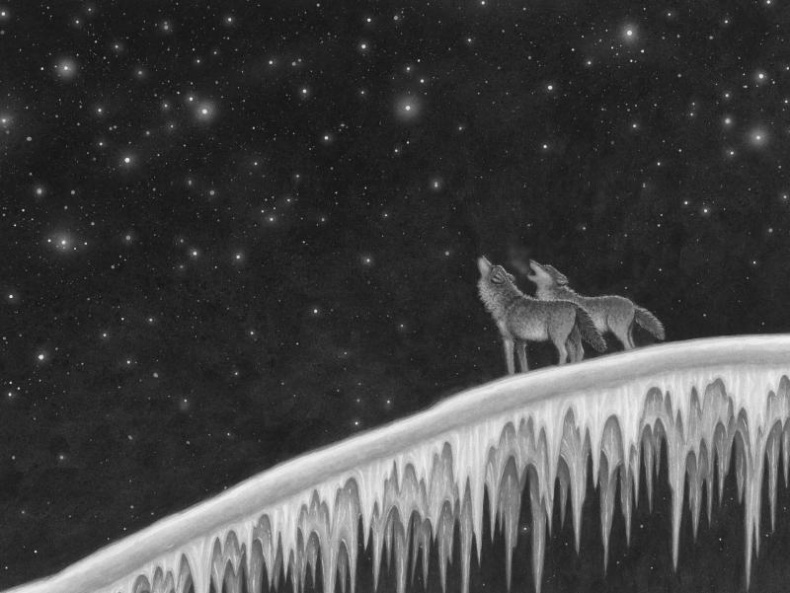 Иллюстрация к книге — Звёздный [pic1.jpg]