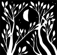 Иллюстрация к книге — Империя Дикого леса [i_031.jpg]