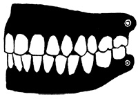 Иллюстрация к книге — Империя Дикого леса [i_045.jpg]