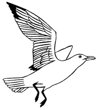 Иллюстрация к книге — Империя Дикого леса [i_057.jpg]