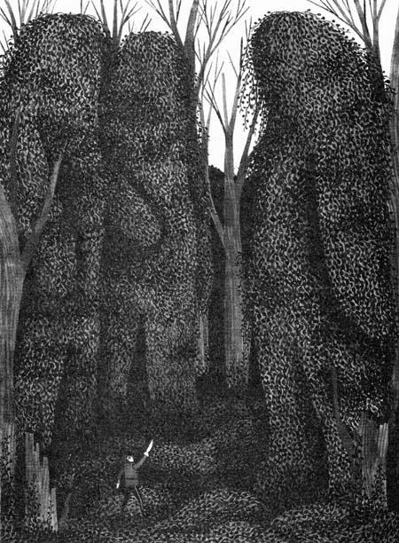 Иллюстрация к книге — Империя Дикого леса [i_061.jpg]