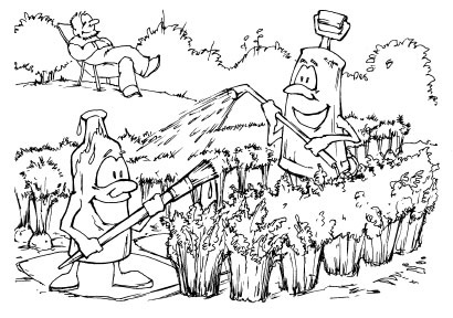 Иллюстрация к книге — Как избавиться от вредителей и болезней, не навредив себе [i_002.jpg]