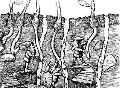 Иллюстрация к книге — Как избавиться от вредителей и болезней, не навредив себе [i_012.jpg]