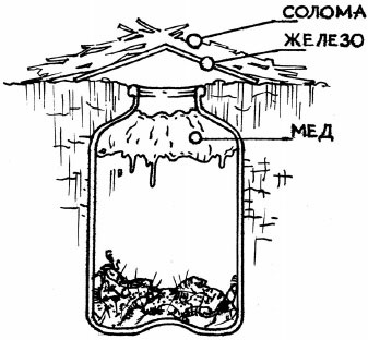 Иллюстрация к книге — Как избавиться от вредителей и болезней, не навредив себе [i_026.jpg]