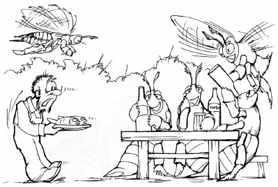 Иллюстрация к книге — Как избавиться от вредителей и болезней, не навредив себе [i_041.jpg]