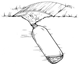 Иллюстрация к книге — Как избавиться от вредителей и болезней, не навредив себе [i_044.jpg]