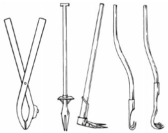 Иллюстрация к книге — Как избавиться от вредителей и болезней, не навредив себе [i_046.jpg]