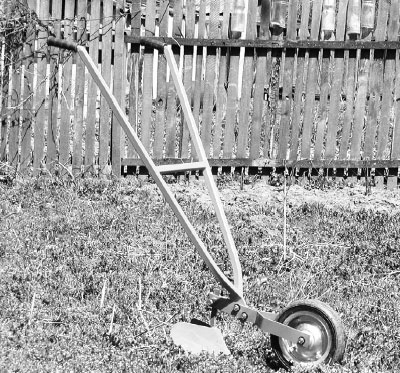 Иллюстрация к книге — Как избавиться от вредителей и болезней, не навредив себе [i_054.jpg]