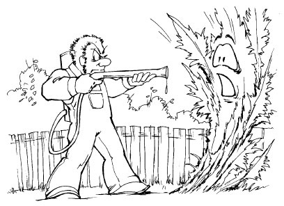 Иллюстрация к книге — Как избавиться от вредителей и болезней, не навредив себе [i_056.jpg]