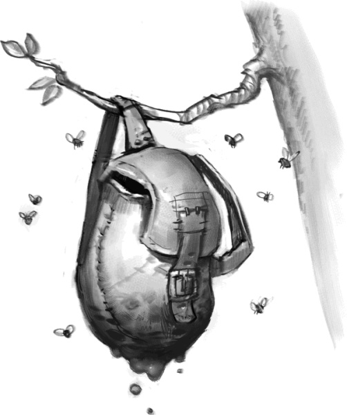 Иллюстрация к книге — Как стать героем [muskratsteakshires.jpg]