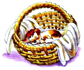 Иллюстрация к книге — Чудеса, да и только [pic_24.jpg]