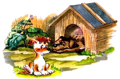 Иллюстрация к книге — Чудеса, да и только [pic_25.jpg]