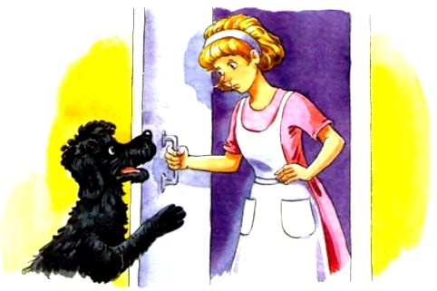 Иллюстрация к книге — Чудеса, да и только [pic_38.jpg]