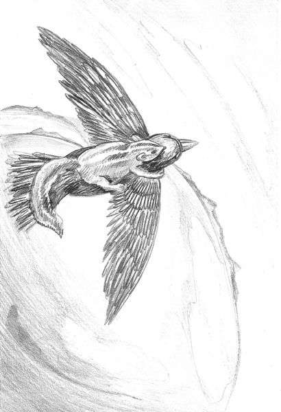 Иллюстрация к книге — Ливергиния [i_005.jpg]