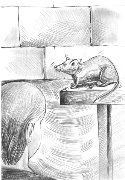 Иллюстрация к книге — Ливергиния [i_006.jpg]