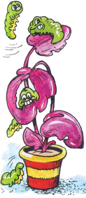 Иллюстрация к книге — Домовенок Кузька и Бабеныш Ягеныш [i_007.jpg]