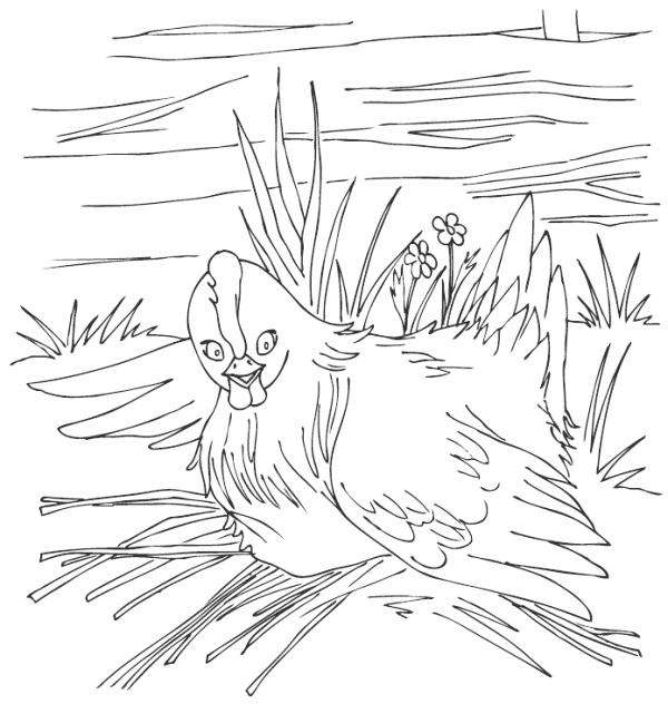 Иллюстрация к книге — Молодка [i_002.jpg]