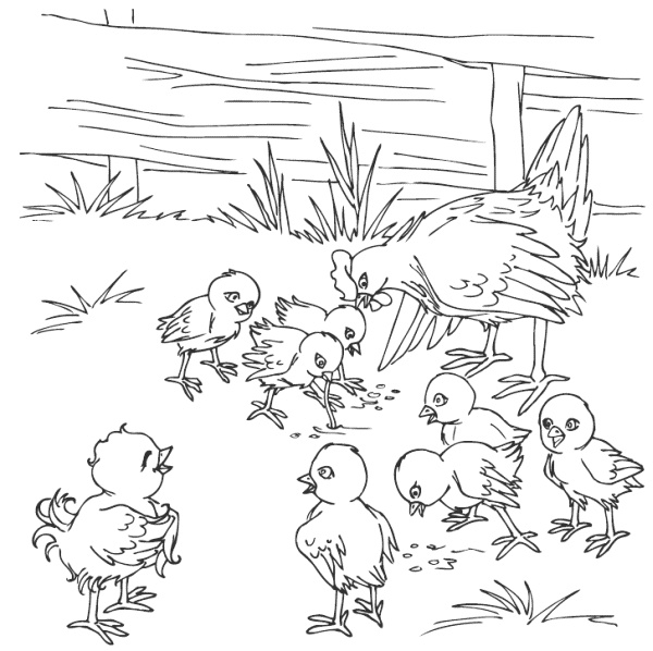 Иллюстрация к книге — Молодка [i_004.jpg]