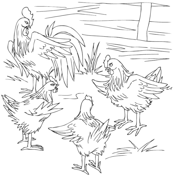 Иллюстрация к книге — Молодка [i_007.jpg]