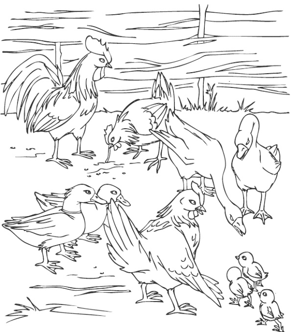 Иллюстрация к книге — Непоседа – наоборот [i_003.jpg]