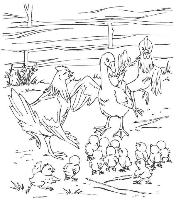 Иллюстрация к книге — Непоседа – наоборот [i_004.jpg]