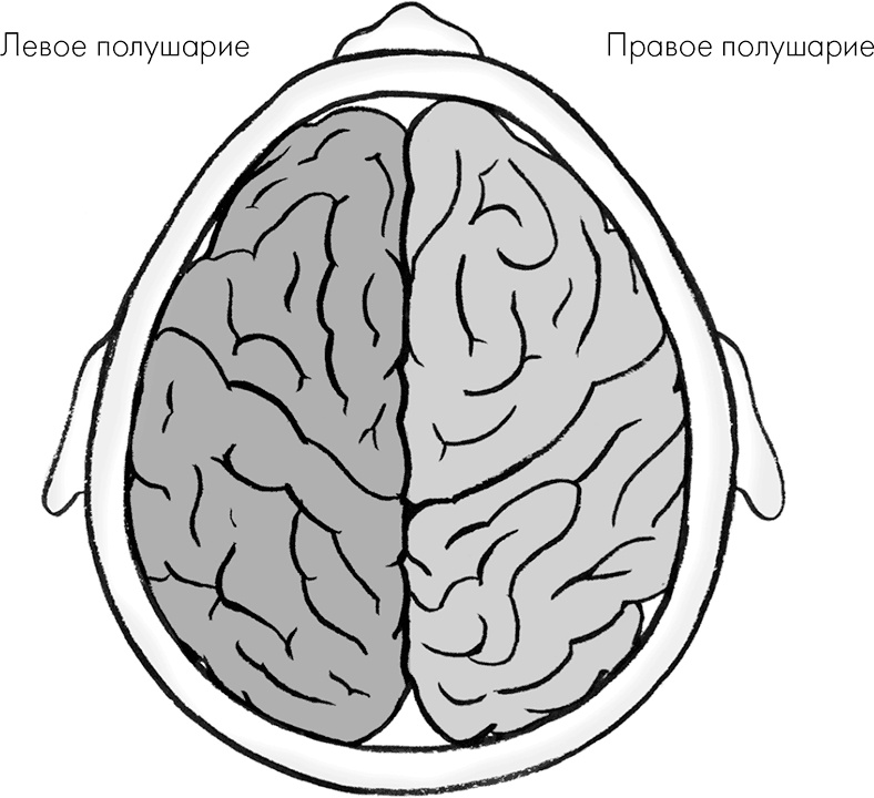 Иллюстрация к книге — Почему мы делаем то, что мы делаем [i_007.jpg]