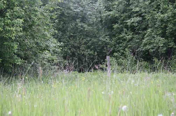 Иллюстрация к книге — С трудом о прошлом, о былом. Очерки о жителях д. Верхние Таволги [i_018.jpg]