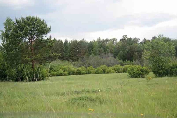 Иллюстрация к книге — С трудом о прошлом, о былом. Очерки о жителях д. Верхние Таволги [i_053.jpg]