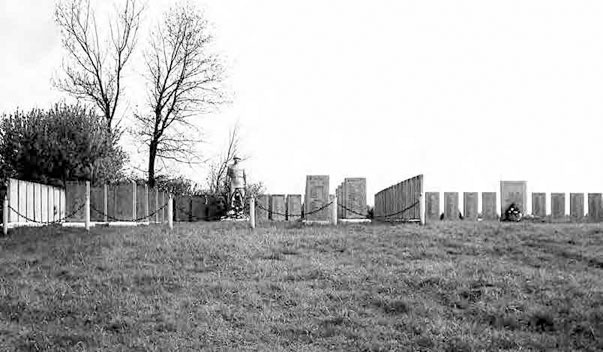 Иллюстрация к книге — С трудом о прошлом, о былом. Очерки о жителях д. Верхние Таволги [i_070.jpg]