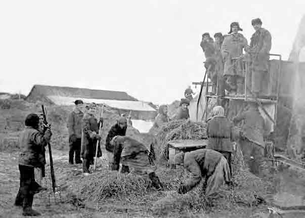 Иллюстрация к книге — С трудом о прошлом, о былом. Очерки о жителях д. Верхние Таволги [i_157.jpg]