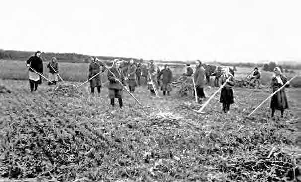 Иллюстрация к книге — С трудом о прошлом, о былом. Очерки о жителях д. Верхние Таволги [i_198.jpg]